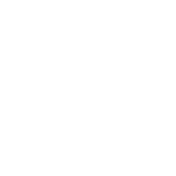 basket icon